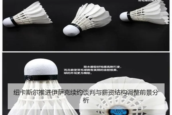 纽卡斯尔推进伊萨克续约谈判与薪资结构调整前景分析